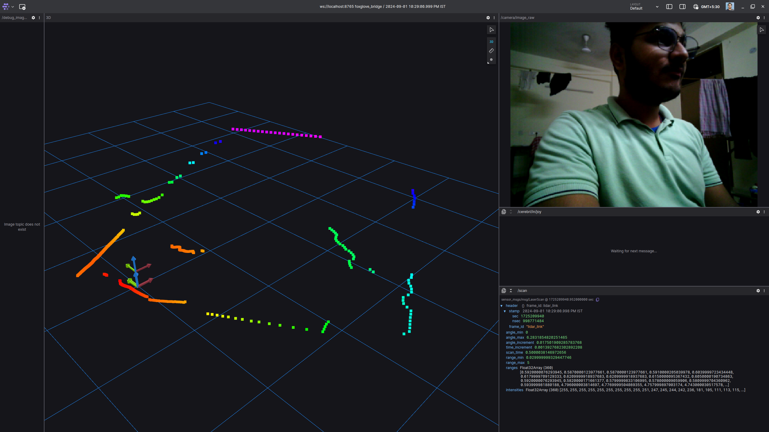 LIDAR and Camera Detection