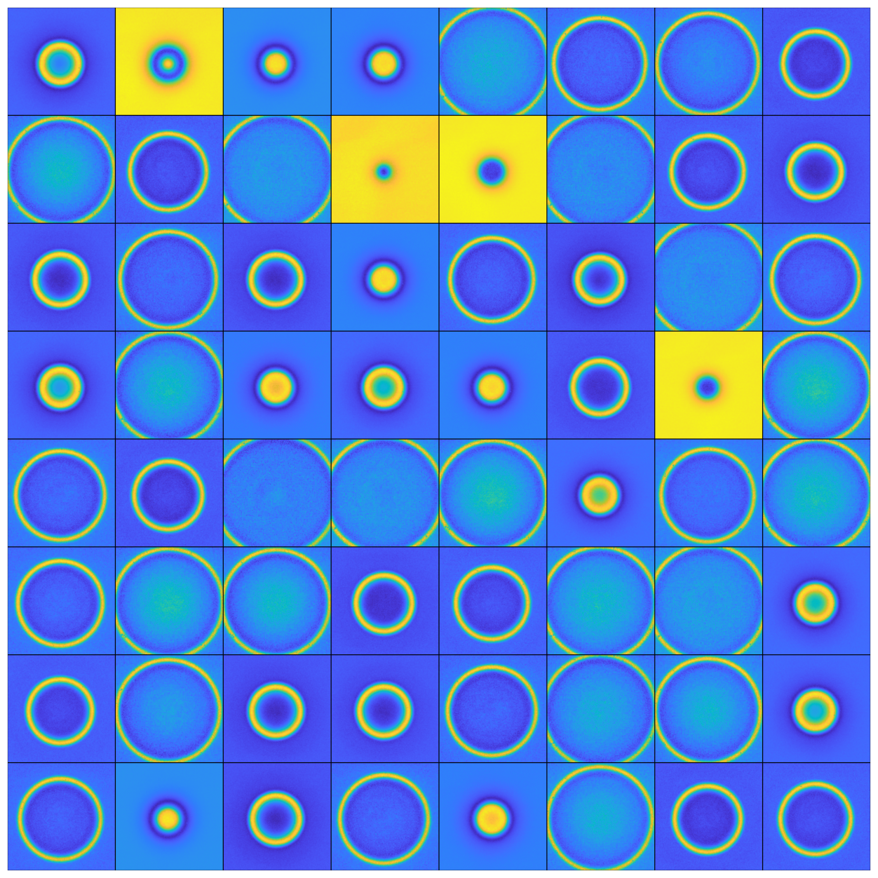 Training Dataset Image